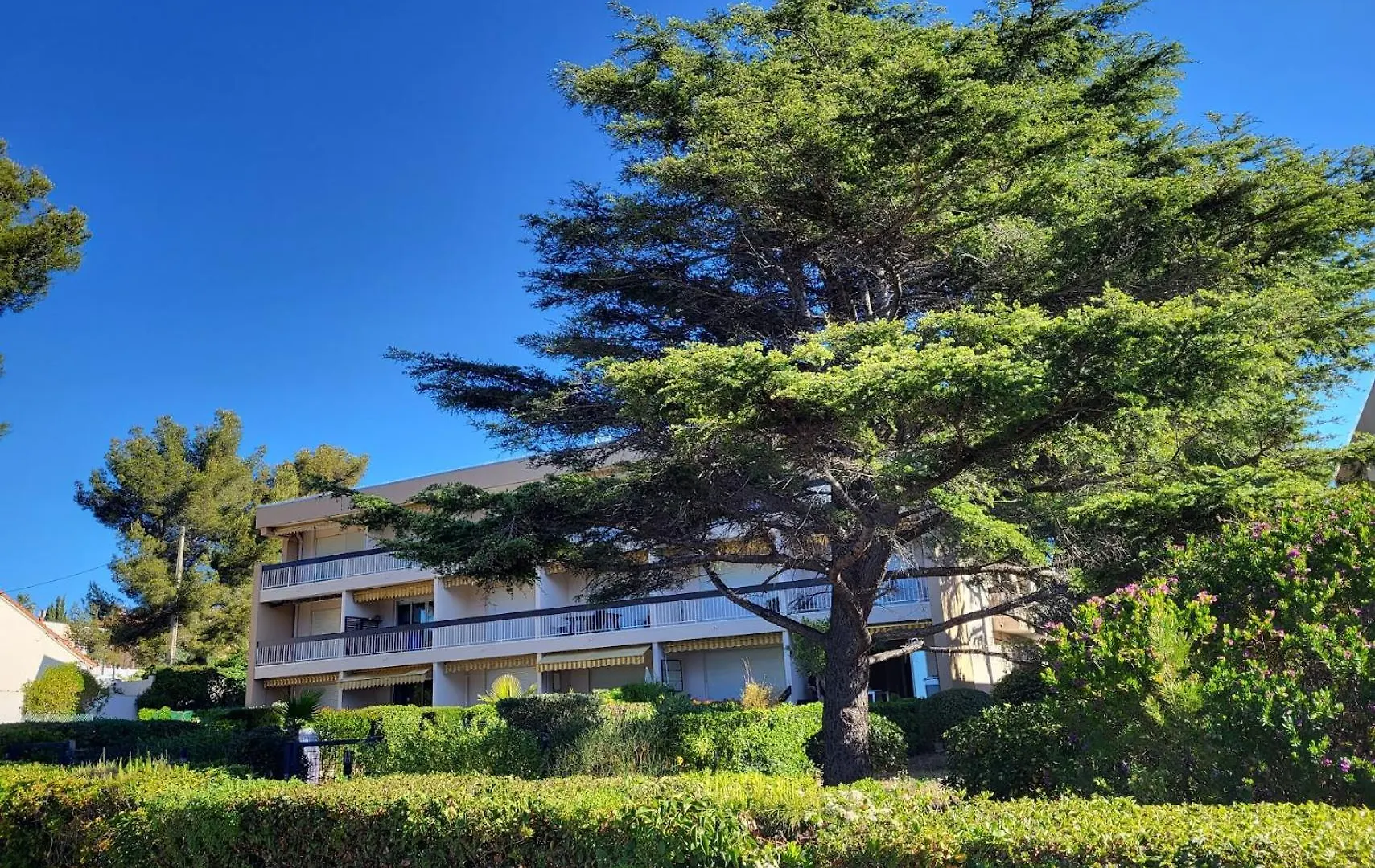 Apartment Appartement Les Pieds Dans L'Eau Avec Terrasse Et Jardin Bandol